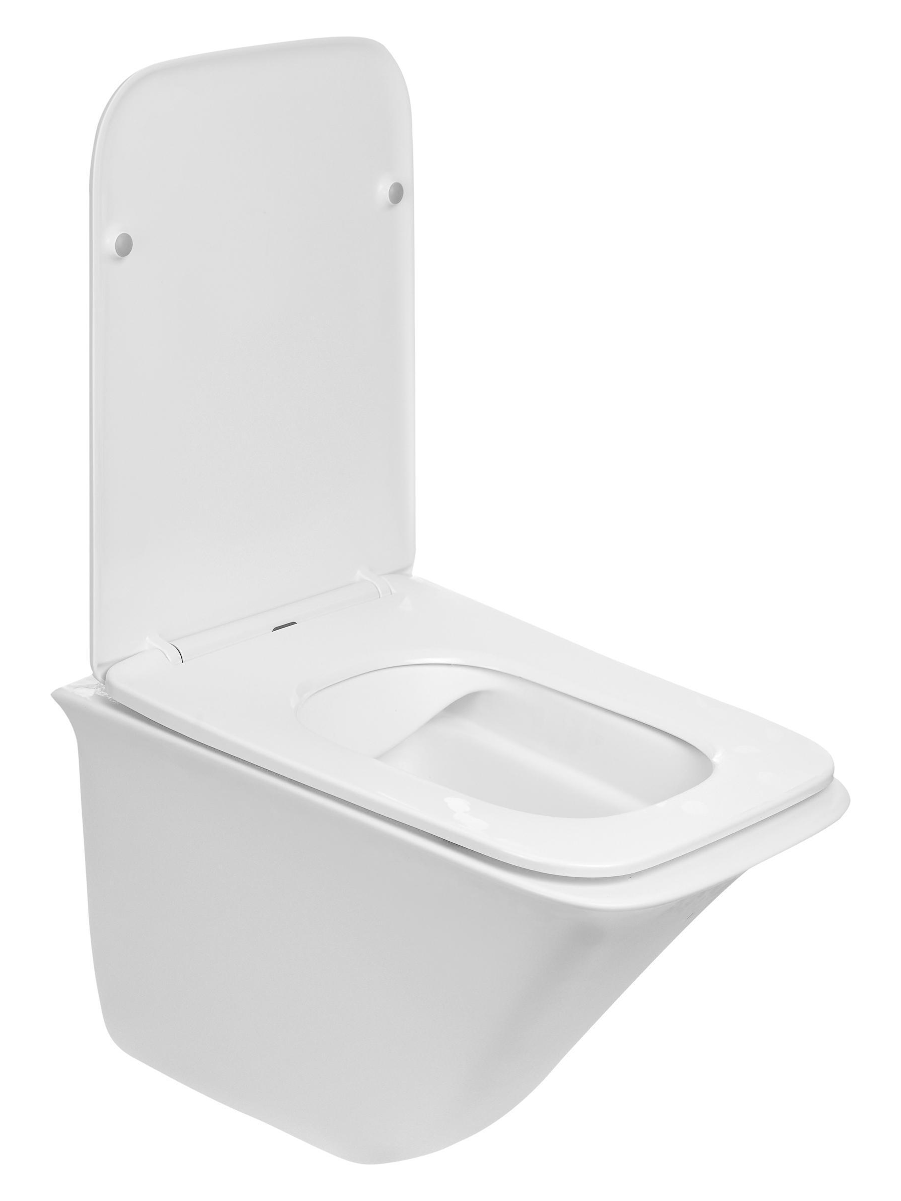 WW ROTBACH 004 GL-WT Унитаз подвесной 