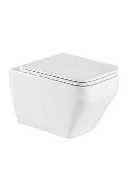 WW HOFBACH 041 GL-WT Унитаз подвесной 