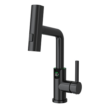 Смеситель для раковины Black&White SD3028B 