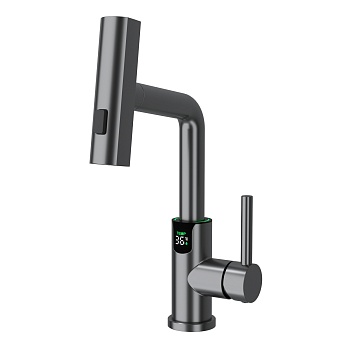 Смеситель для раковины Black&White SD3028GM 